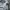 Adidas Combat Sports Hoody Zip-up Sauna Suit Jacket  photo 7