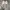  Vans authentic anaheim off white photo 4