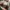  Vans authentic anaheim off white photo 7