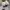  Vans authentic anaheim off white photo 5