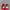 Vans Authentic Red Chilli photo 3