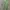 Y2K Casual Polo shirt Pria green photo 1