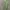 Y2K Casual Polo Shirt Pria Green