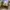 Vans Authentic 44DX Anaheim Factory Cream photo 6