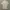 Y2K Casual Polo shirt Pria tan cream photo 1