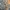 ALL SAINTS ARMY MILITARY M65 CAMOUFLAGE DIGITAL LONG SLEEVE  photo 4