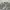 Adidas Originals Trefoil City Series Los Angeles Superstar W photo 2