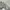 Adidas Originals Trefoil City Series Los Angeles Superstar W photo 9