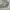 Adidas Originals Trefoil City Series Los Angeles Superstar W photo 3