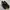Thunderbear slip on photo 1