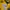 Inter Milan 2024-25 Third Shirt photo 4