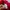 Uniqlo Streetwear Short Pria red photo 4