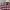 Y2K Casual Casual shirt Pria burgundy red photo 2