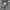 Burberry vintantag stripe line photo 2