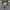 Burberry Vintantag Stripe Line