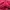 Gorpcore Windbreaker Pria red photo 2