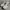 Sepatu Olahraga Tennis Sneakers Kasual Adidas Strutter White photo 3
