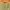 SENSE OF PLACE By URBAN RESEARCH ARMY MILITARY M65 UTILITY M photo 3