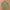 SENSE OF PLACE By URBAN RESEARCH ARMY MILITARY M65 UTILITY M photo 1