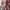 ONE SET KEBAYA JANGGAN DAN ROK SONGKET  photo 3
