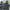 Feltics Casual Hoody Pria black gray photo 1