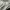 Nike Streetwear Sportswear Windbreaker Pria white black photo 7