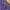 VANS x ANTHONY VAN ENGELEN SKATEBOARDING DOUBLE POCKET LONG  photo 4