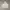 Hoodie Champion Basic Logo photo 1