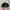Japanese brand Streetwear Skater Hat Pria green brown photo 4