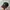 Japanese brand Streetwear Skater Hat Pria green brown photo 3