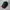 Japanese Brand Streetwear Skater Hat Pria Green Brown