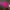 HnM Pink crop shirt photo 1