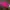 HnM Pink Crop Shirt
