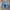 jorts fubu big pocket photo 3