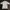 Adidas Sportswear T-shirt Pria White