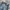 Levi’s 505 W36 L32 photo 8