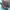 ROCKPORT PERUSE LUGGAGE ORIGINAL HEELS WANITA