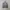 Machope MA-1 Bomber Jacket photo 5