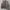 Machope MA-1 Bomber Jacket photo 3