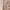 Pomelo Vintage Casual Summer dress Wanita white pink photo 4