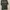Champion Casual T-shirt Pria green photo 4