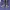 Hodie Who A.U photo 3