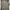long sleve photo 1