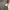 long sleve photo 2