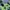 Grunge Indie T-shirt Pria green photo 5