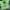 Grunge Indie T-shirt Pria green photo 4
