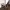 EVENRIVER JAPAN MADE CARGO PANTS photo 2