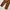 EVENRIVER JAPAN MADE CARGO PANTS photo 8