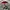 Tommy Hilfiger Luxury Casual Sweater Pria multicolor photo 5