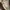 Adidas Tresc Run Sz.38 photo 5